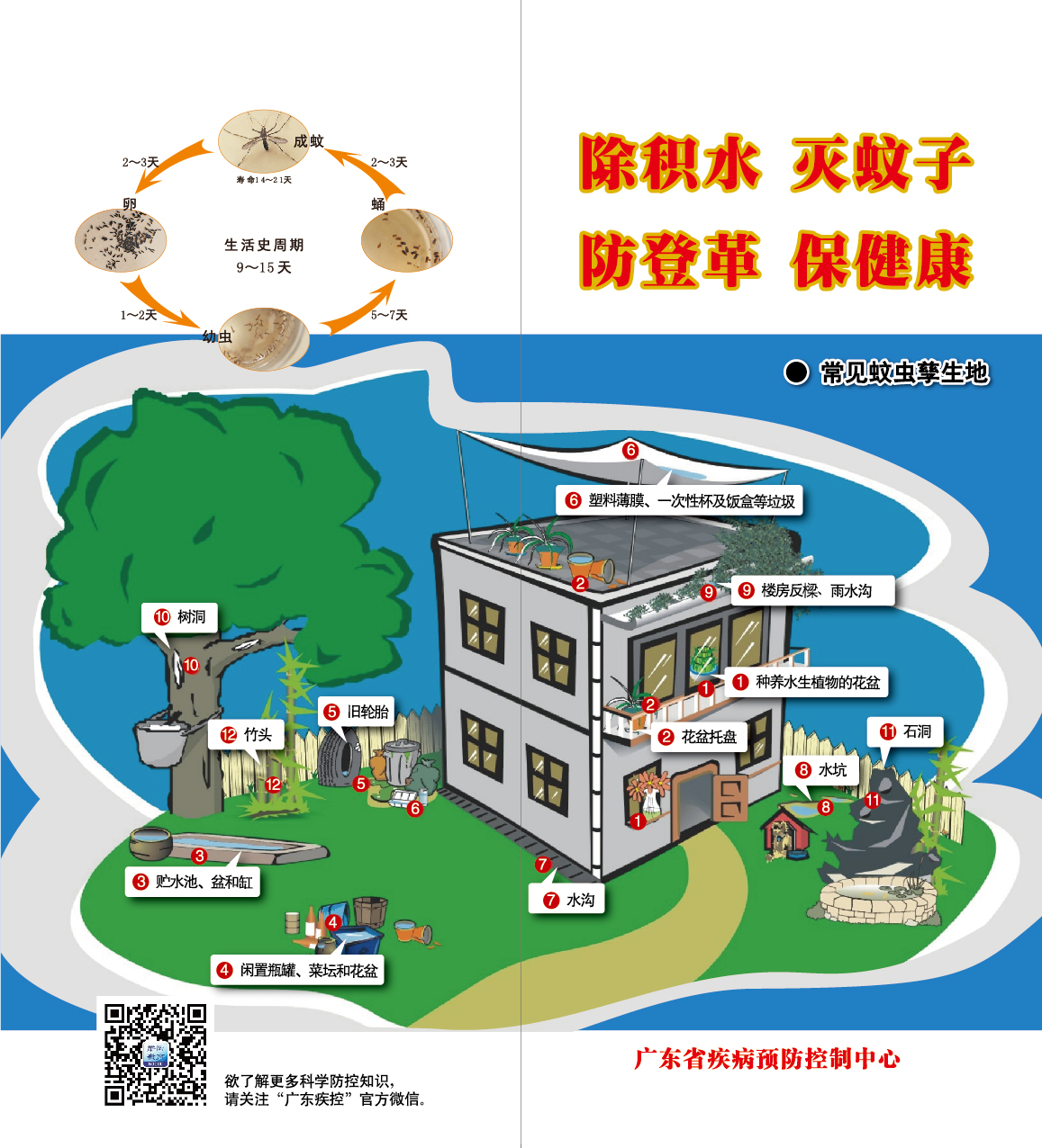 除积水 灭蚊子 防登革 保健康（折页1版）.jpg