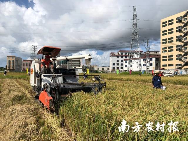 7月早稻机收减损大比武汕头赛区现场  