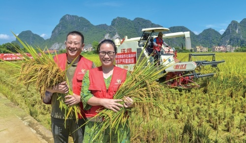 广东：农业生产托管驶入快车道