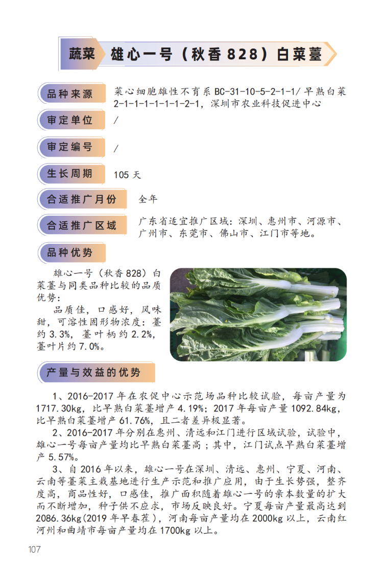 2023年主导品种：雄心一号（秋香 828）白菜薹-1.png