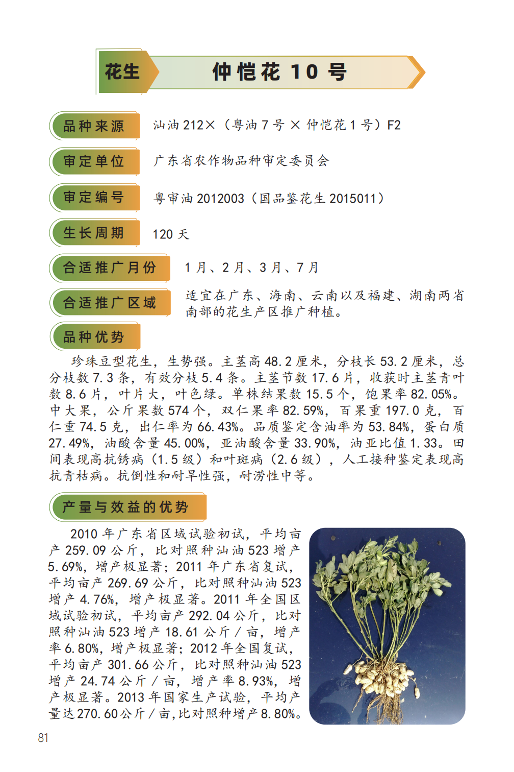 仲恺花 10 号-1.png