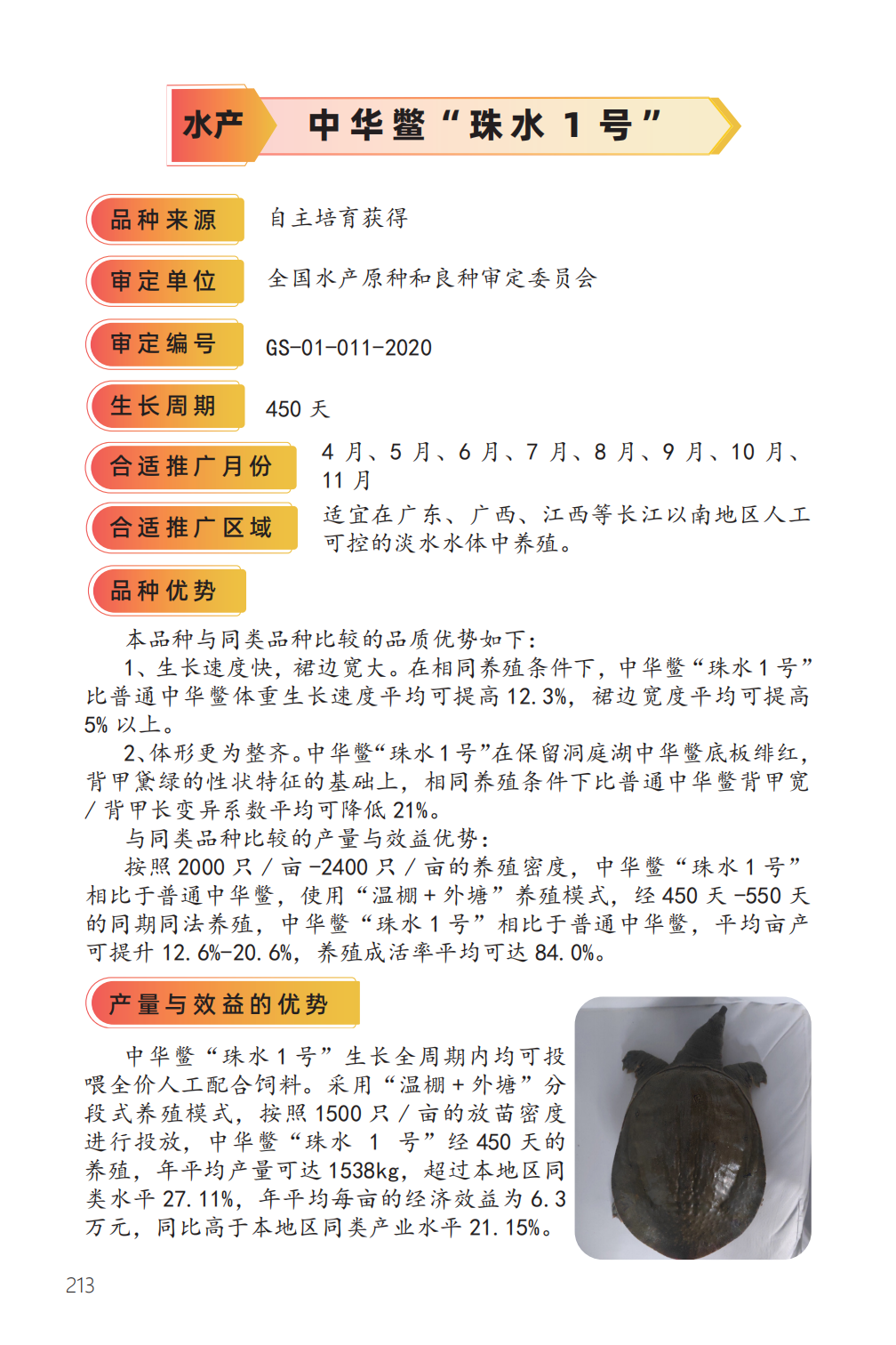 中华鳖“珠水 1 号”-1.png