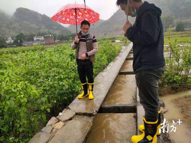 防汛期间，欧阳平检查农田灌溉水利设施，确保农业生产安全。