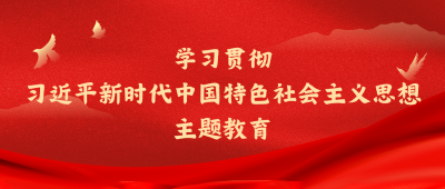 学习贯彻习近平新时代中国特色社会主义思想主题教育