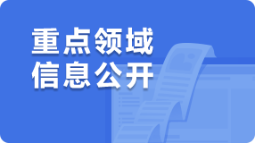 重点领域信息公开