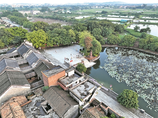 花都塱头村.jpg