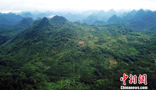 广东破解“土地癌症”：石漠披绿装穷土变金山