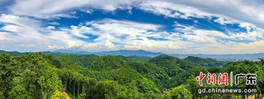 梅州梅城百岁山森林公园