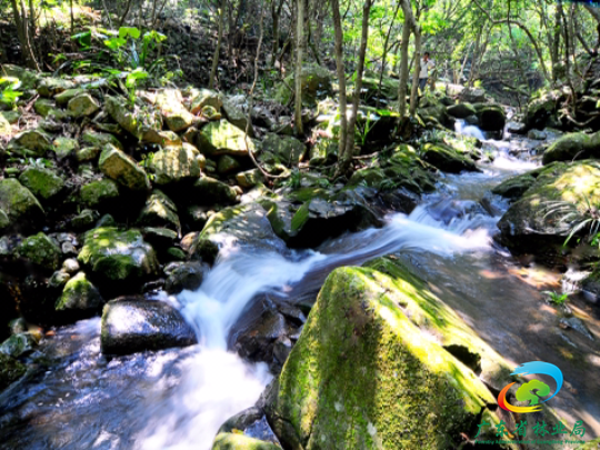 银瓶山森林公园清溪景区杨桥探幽1.jpg