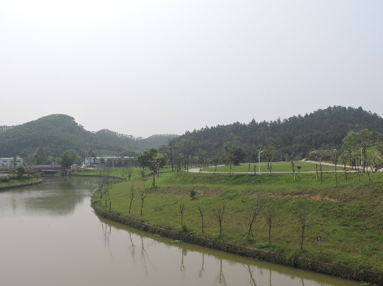 水台林场森林康养基地.JPG