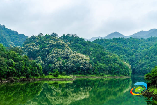 高质量水源林建设