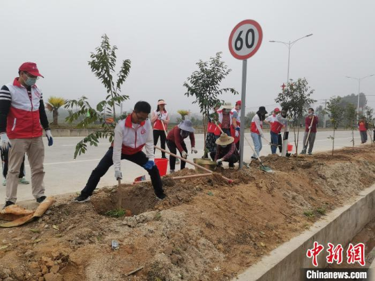 广东茂名电白民众利用路边土地种植树木 广东省林业局 供图