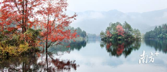 梅州蕉岭县乡村秋色  