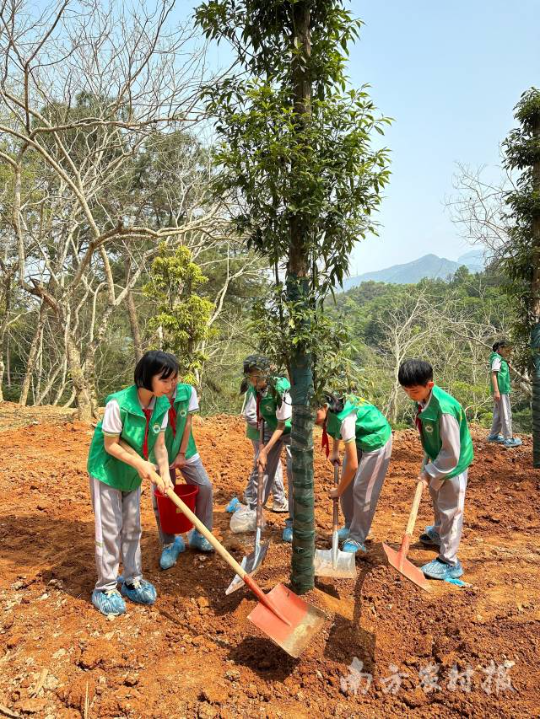 潮州学生植树