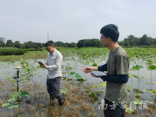 专业调查队员在进行湿地调查工作