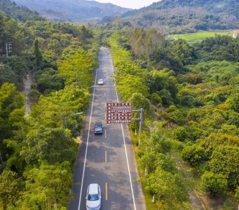 县道X292高岳公路汉湖村路段