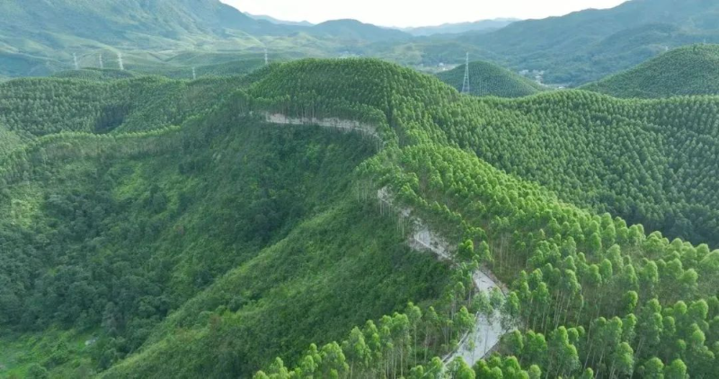 汕梅高速改扩建项目施工便道