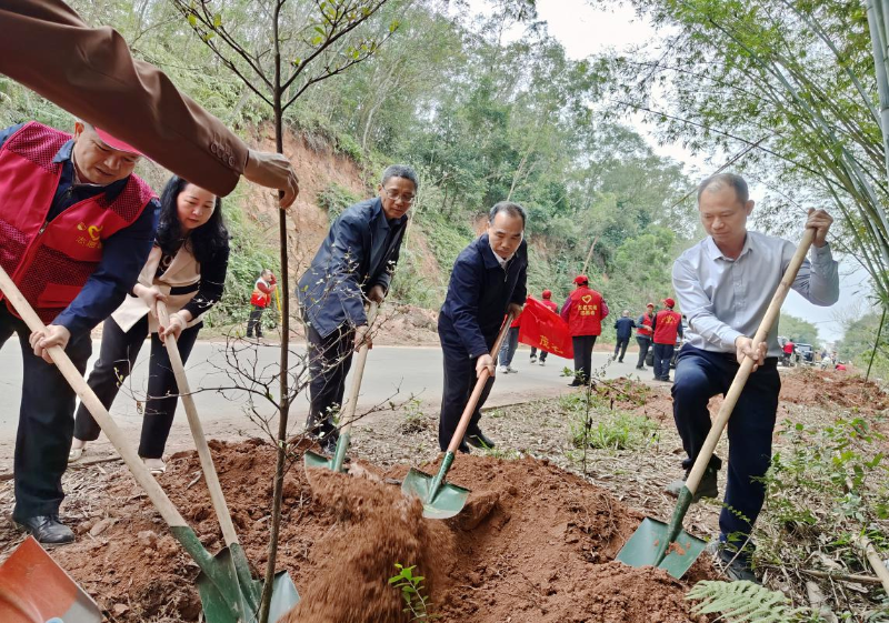 党员干部带头开展干线公路绿化品质提升行动