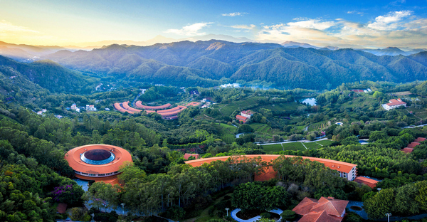 5.梅州雁南飞景区（梅州市雁南飞茶田景区 ）.jpg