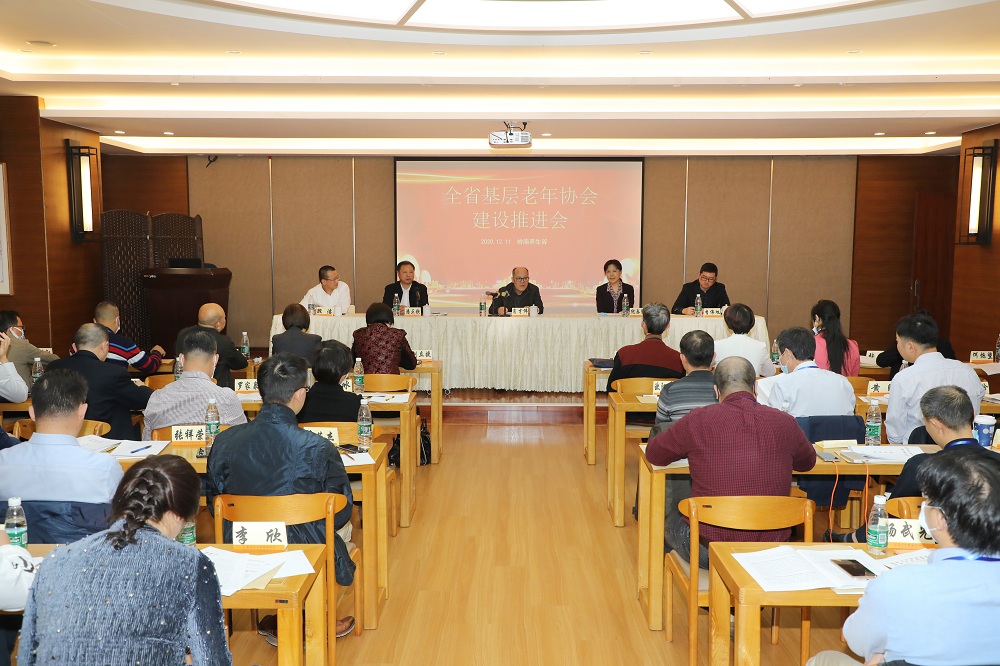 wf54in1350us冯钊妮_基层老年协会会议现场.JPG