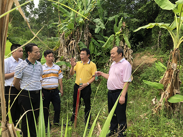 督导组查看惠来县慈云中医院新选址场地600.jpg