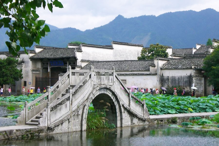 佛山：顺德区北滘镇碧江村