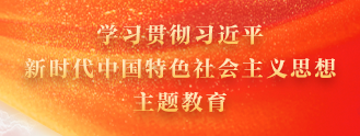 学习贯彻习近平新时代中国特色社会主义思想主题教育